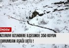 Erzurum Uzundere İlçesinde 350 Koyun  uçurumdan uçtu !
