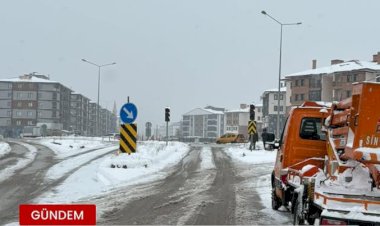 TIR Sürücüsünden Trafik Işıkları Tepkisi, Karayolları Ekiplerinden Hızlı Çözüm!