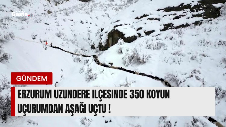Erzurum Uzundere İlçesinde 350 Koyun  uçurumdan uçtu !