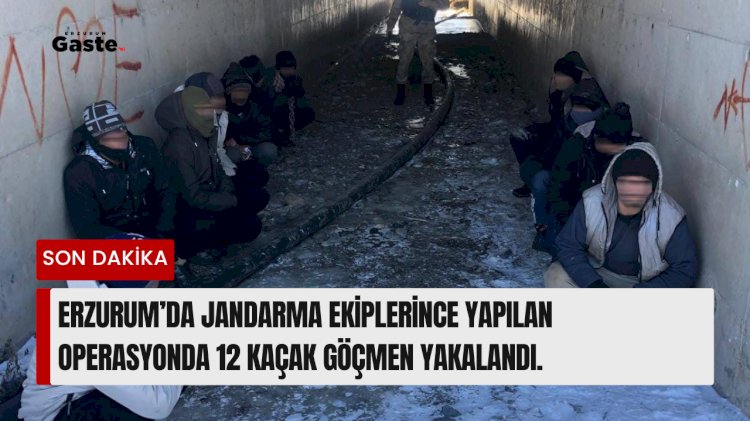Erzurum’da Jandarma ekiplerince yapılan operasyonda 12 kaçak göçmen yakalandı.