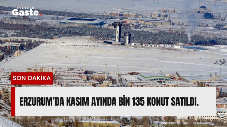 Erzurum’da Kasım ayında bin 135 konut satıldı.