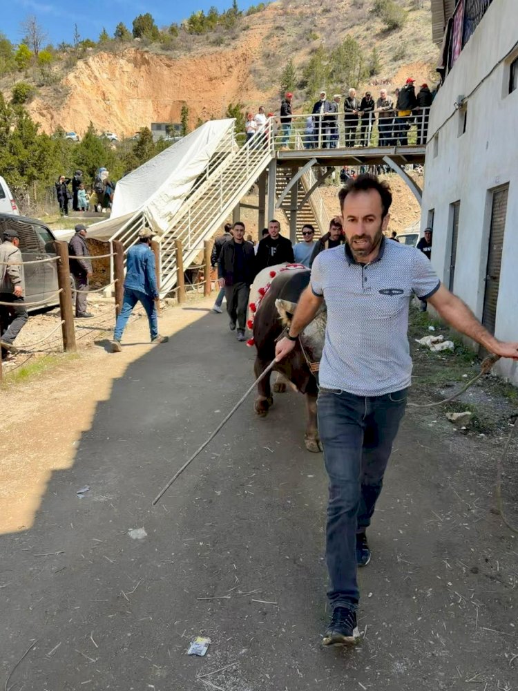 Erzurum’un Gururu Pusat Durdurulamıyor: Üst Üste 4. Şampiyonluk Geldi!