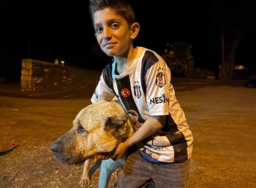 Kangal “Kral” minik Sencar’ın hayatını kurtardı!